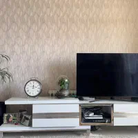 میز تلویزیون و جلو مبلی