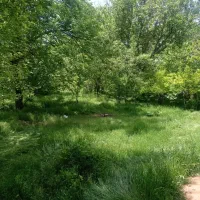 باغچه