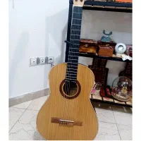 گیتار متاپور