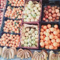 وسایل مغازه میوه فروشی