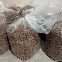 خرما بصورت عمده و کیلوی