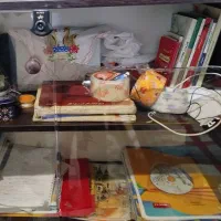 کتابخانه|کتابخانه، شلف، قفسههای دیواری|شیراز, کوشک میدان|دیوار