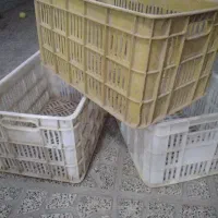 سبد گوجه فرنگی