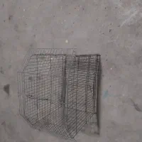 ۱ عدد قفس برای فروش