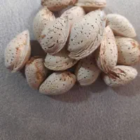 بادام نو|خوردنی و آشامیدنی|شیراز, بعثت|دیوار