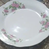 فروش 24 عدد بشقاب غذا خوری چینی