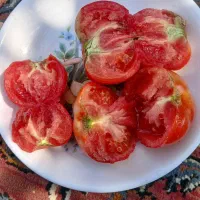 گوجه