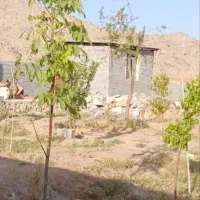 باغ-نیر