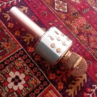 میکروفن|سیستم صوتی خانگی|نیشابور, سرآب کوشک|دیوار