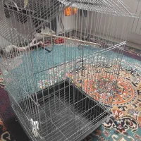 قفس زیبا بزرگ نو