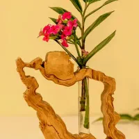 گلدون ایران