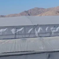 نصب صفر تا صد گلخانه