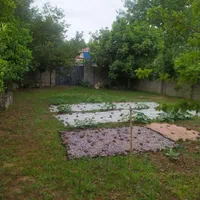 فروش زمین ۲۸۷ متری در  روستای زیبای نوخاله|فروش زمین و ملک کلنگی|رشت, یخسازی|دیوار