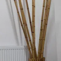 فروش گلدان بامبو