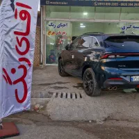 استخدام نقاش پولیشکار