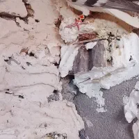 کفتر|پرنده|نیشابور, سرآب کوشک|دیوار