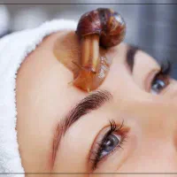 فروش حلزون پرورشی