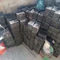 سبد پلاستیکی 10کیلوی دانه۳۰هزار تومان