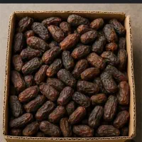 حرمای صادراتی