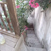 نیازمند همخونه|اجارهٔ خانه و ویلا|گرگان, |دیوار