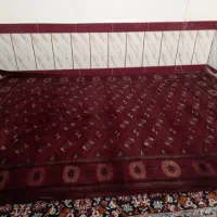 فرش دست بافت|فرش|صفادشت, |دیوار