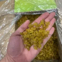 کشمش انگوری درجه ۱|خوردنی و آشامیدنی|تهران, پردیسان|دیوار