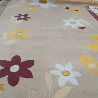 قالی درحدنو