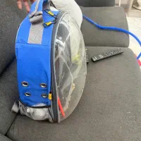 کیف حمل پرنده و پت