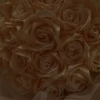 گا روبانی|گل مصنوعی|تبریز, |دیوار