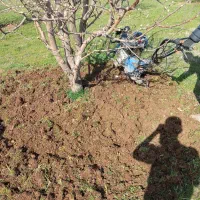 شخم زدن با تیلر هرجای ارومیه