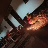 ماساژ در منزل به صورت شبانه روزی ،