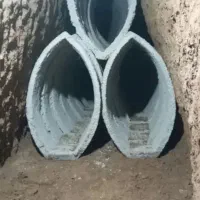 مغنی چاکنی چای