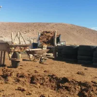 کود گوسفندی درجه