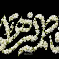 استخاره قرانی