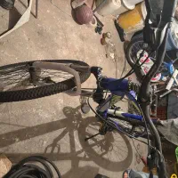 دوچرخه نو|دوچرخه، اسکیت، اسکوتر|تهران, استخر|دیوار