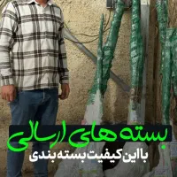 نهال بادام تضمینی سالم نهال|خدمات باغبانی و درختکاری|کرمانشاه, |دیوار