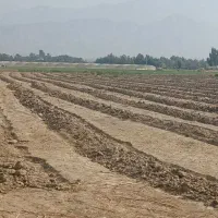 نیم هکتار زمین کشاورزی در دهنو املاک با آب کافی