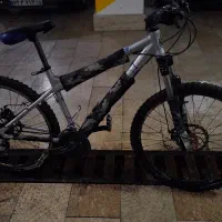 دوچرخه ویوا حرفه ای