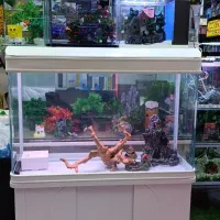 آروانا خوش سایز*فروش اکواریوم شرکتی
