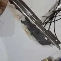 تعمیر تخصصی لوازم خانگی با ضمانت نامه کتبی|خدمات پیشه و مهارت|کیش, |دیوار