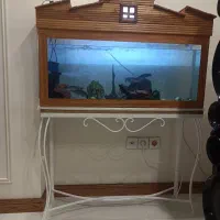 آکواریم و میز فرفوژه و ماهی