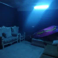 اجاره زیرزمین۱۶۰متری/ارکیده ها|اجارهٔ مغازه و غرفه|پاکدشت, پاکدشت (مامازند)|دیوار