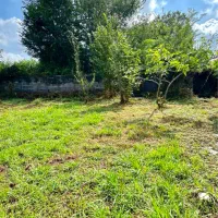 ۲۵۰متر زمین مسکونی با سند تکبرگ بر اسفالت تاپ|فروش زمین و ملک کلنگی|سیاهکل, |دیوار