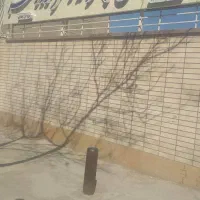 منزل تجاری جنب داروخانه تالاری ب 4