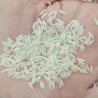 برنج هاشمی درجه یک خوش پخت محصول امسال ۱ تن|خوردنی و آشامیدنی|رشت, عینک|دیوار