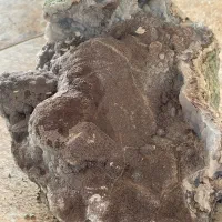 سنگ|جواهرات|تربتحیدریه, باغ ملی|دیوار