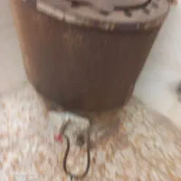 تنور ۴ نون قیمت توافقی