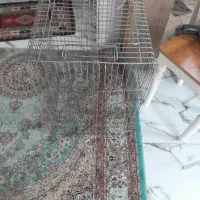 قفس پرنده