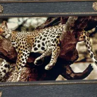 تابلو فرش جنس عالی وقابل چوب