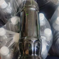 شربت نعناع فقط 65تومان